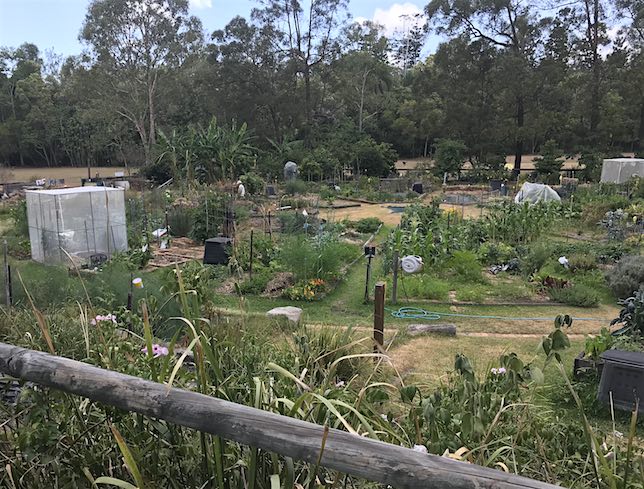 Community garden with large garden plots